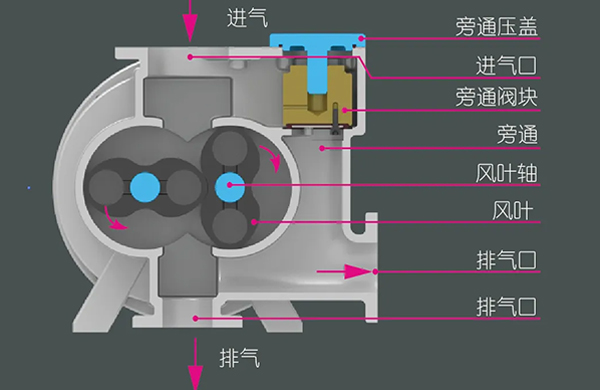 儸茨泵的工作原理、特點，還有牠的三(san)種類型